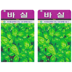 허브 바실 바질 씨앗 (합 100립) 허브씨 종자, 2개