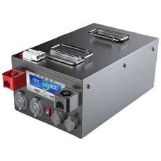 인산철 캠핑카 배터리 리튬 파워뱅크 차박 24v 12v 1000ah, 1개, 12V600A/충전기포함(관부가세포함)