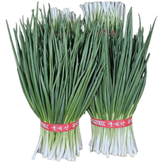 클릭마켓 노지 깐쪽파 1단 잔파, 5개, 1kg