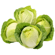 Naturebasket의국내산100% 신선 양배추 38망 (3통), 6kg, 1개