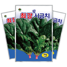 씨드코리아 시금치 씨앗 최강애 시금치 종자 사계절, 3개