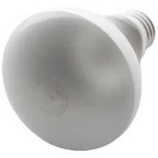 일광 반사구 60W 파충류 스팟조명 열전구 발열전구 히팅램프, 기타색, 1개