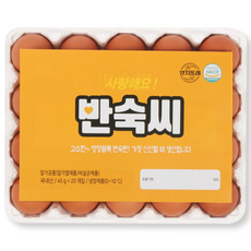 [YJ푸드]노른자까지 간이 배인 반숙씨 영양간식 반숙란 영양만점 삶은계란, 20구, 1개