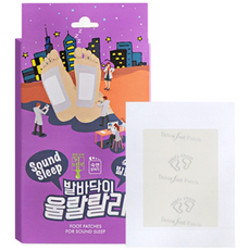 리드탑 발바닥패치 목초수액시트, 2개, 30개입