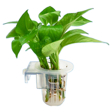 미미네아쿠아 어항 걸이식 바스켓 - 스킨답서스, 1개