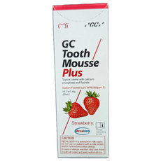 GC투스무스치약 딸기맛, 40g, 1개