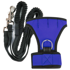 딩동펫 강아지 핸드 리드줄 S, 블루