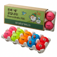 볼빅 골프공 컬러 선물세트, 1개, 10개입, 컬러혼합 / 성공적인 라운딩을 기원합니다
