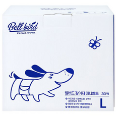 벨버드 강아지 매너벨트 남아용, 대형, 30개입, 1개