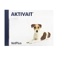 벳플러스 강아지 독 액티베이트 소형견 스몰브리드 60캡슐, 60회분, 면역/항산화, 1개