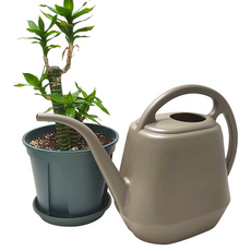 가든집사 스퀘어 물조리개 4L 대용량 원예용 물조루 물뿌리개, 커피, 1개