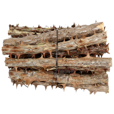 신선약초 자연산 엄나무, 300g, 1개