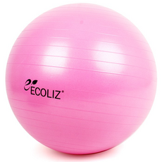 에코리즈 안티버스트 짐볼, 핑크