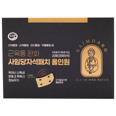 사임당 올인원 자석파스 (전체자석 20매) 동전 패치 통증완화 의료기기 인증제품 어깨 허리 무릎, 1개