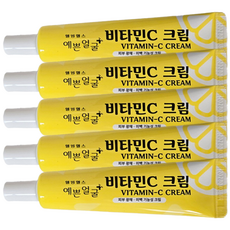 웰빙헬스팜 예쁜얼굴 비타민C 크림, 25g, 5개