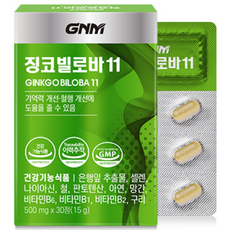 GNM자연의품격 징코 빌로바11, 30정, 1개