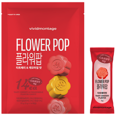 비비드몽타주 플라워팝, 14개, 5g