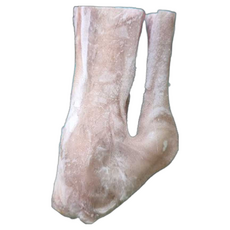 단단푸드 호주산 수입산 염소고기 냉동 수육 전골 식당납품 국물용 발목뼈 잡뼈 2kg, 1개