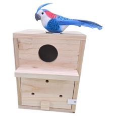 잉꼬 / 삼나무 원목알통 나무둥지 보금자리 조류용품, 1개