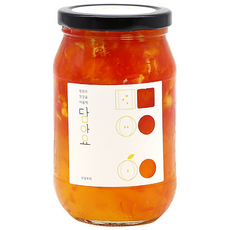 담아요 수제 오렌지자몽청(오렌지큐브+자몽알갱이), 1개, 1개입, 540g