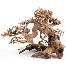 苔蘚樹盆景流木, 1個