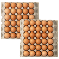 HACCP인증 100%국내산 맛고은 구운계란 특란 1개 60구