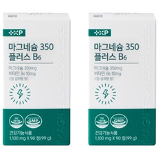 마그네슘350 B6 약국 마그네슘 영양제 신경 근육 기능 유지에 도움, 90정, 2박스