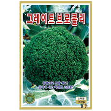 그레이트브로콜리 씨앗(300립) 씨 씨앗 브로콜리 종묘 종자 영웅 KS, 1개