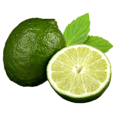생 라임 (대과 개당95g 내외), 10개