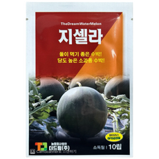 미니수박씨앗 10립 26년포장 더드림 지셀라 수박종자