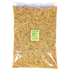 매운 고추씨 얼큰한 수입 고추씨앗, 10개, 2kg