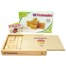 러닝스텝 원목 입체 펜토미노 딜럭스 (미니북 포함), 1개