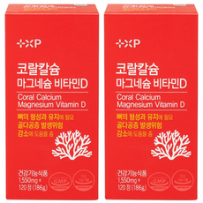 약사애 코랄칼슘 마그네슘 비타민 D 칼마디 산호 칼슘 복합 영양제 플러스엑스팜, 120정, 2개