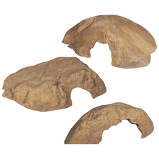 하겐 파충류 은신처 중, 1개