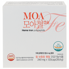 [에이비아이(본사) 직영] 가용성 헴철 모아철 캡슐 240 mg x 120 cap 국내 기술과 국산 원료로 만든 안전한 철분제!, 1개 1개