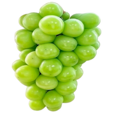 ( 당도 선별 ) 경북 김천 프리미엄 고당도 선물용 특품 샤인머스켓, 1개, 4kg 4-5수 (선물용 박스)