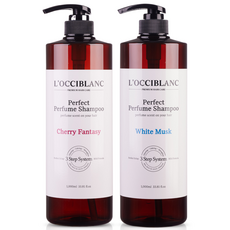 록시블랑 퍼펙트 퍼퓸샴푸 대용량 / 24시간 향 지속 임상완료 / 저자극 테스트 완료 / 3Step 두피관리 성분/ 퍼퓸샴푸 / 대용량 샴푸, 체리 판타지, 1개, 1L