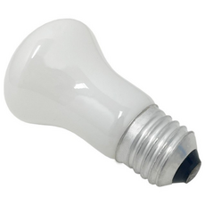 포커스 M50 백열 크립톤 전구 E26 백열전구, 전구색, 1개