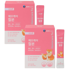 여성 식물성 리포퍼 철분 헤모철분 영양제 엽산 비타민C 함유된 맛있는 분말, 20개, 3정