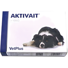 벳플러스 액티베이트 중대형견 미디움 라지 강아지 독 영양제 60캡슐 두뇌 항산화제, 60회분, 면역/항산화, 1개