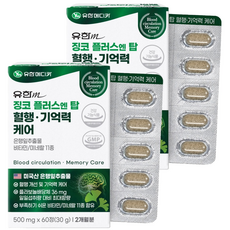 유한메디카 징코 플러스 엔 탑 혈행 기억력 케어 30g, 60정, 2개