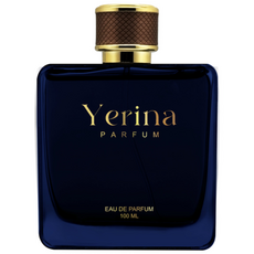 예리나 럭셔리 프리미엄 아뤼르스포츠 청량한 남성향수, 1개, 100ml
