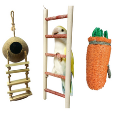 리프패럿 코뉴어 퀘이커 모란 발톱갈이 세트 A-05, 혼합색상, 1세트