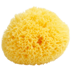 룰라러브 초극세모 신생아목욕 그리스산 천연 해면 스펀지 레귤러, 1개