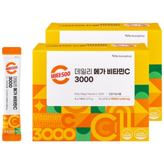 광동 비타500 데일리 메가 비타민C 3000 고함량 비타민c, 2개, 270g