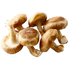 농부의 계절 무농약 유화백송화버섯 표고버섯 슬라이스 분말 생버섯 친환경, 1세트, 생버섯 500g 1팩