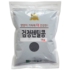 대한농산 검정렌틸콩 1kg 렌틸콩, 1개