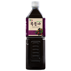 해담은베리 맛있는 복분자90, 1L, 1개