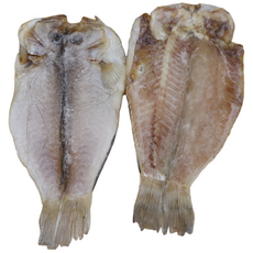 제주 동문시장 반건조 옥돔 스페셜특대 1마리 400g이상 38cm이상 5마리 오후 2시까지 주문하시면 다음날 배송 도착합니다 단 금요일14시~일요일 14시까지 주문분 월요일 도착, 5개, 2kg.