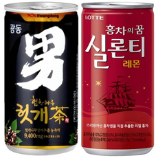 광동 힘찬하루 헛개차 180ml(30캔) + 실론티 175ml(30캔), 60개, 180ml